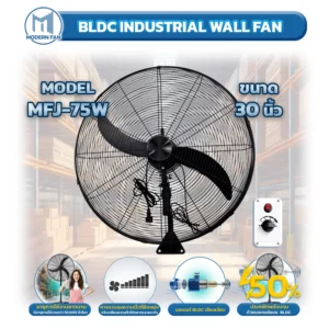 BLDC INDUSTRIAL WAll FAN 30 Ins